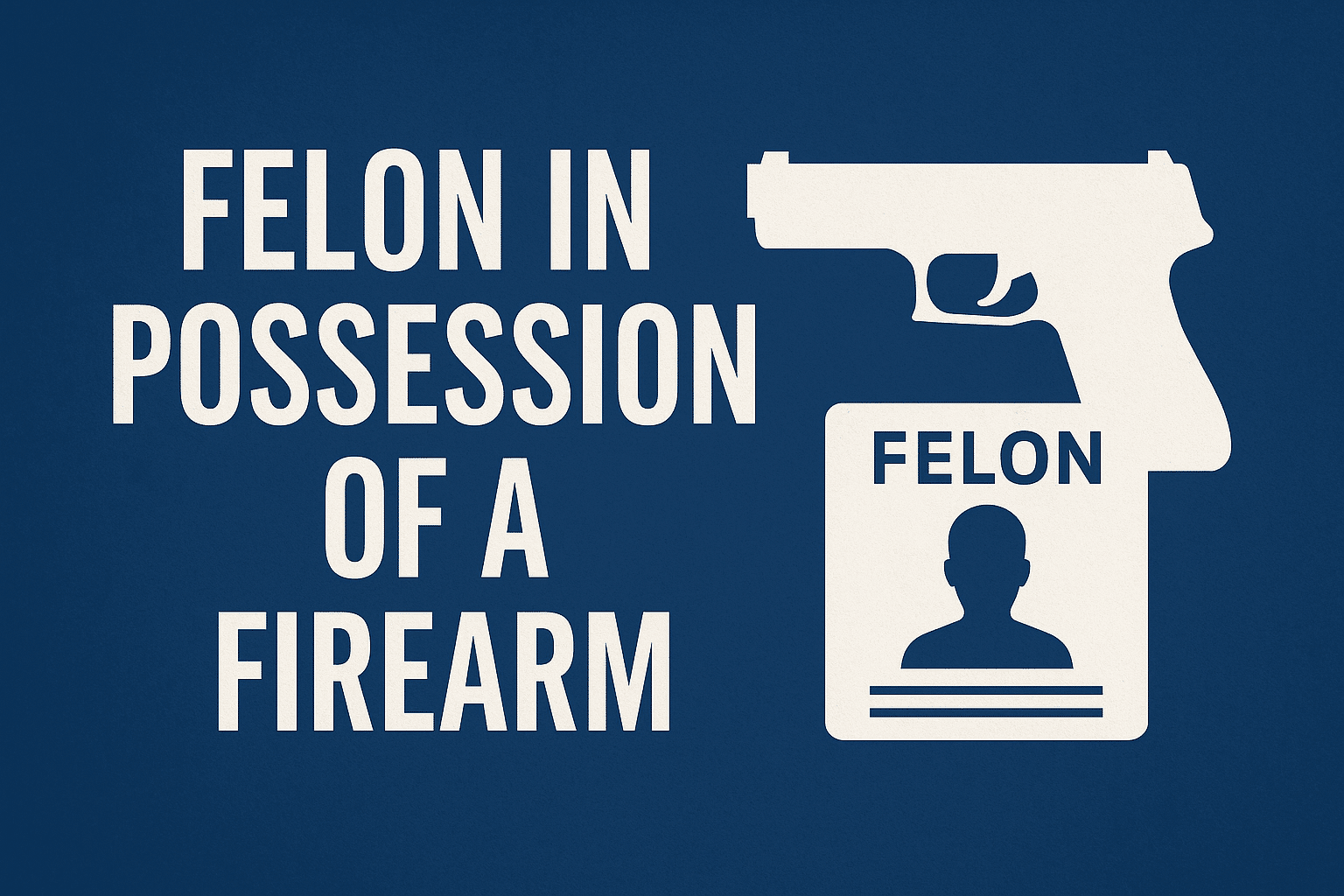 Felon with firearm identification warning